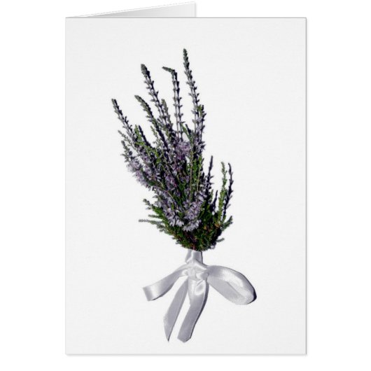 A Sprig of Heather from Scotland Cards (Front)