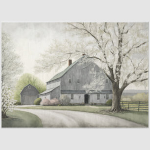 A spring Barn Tissue Paper