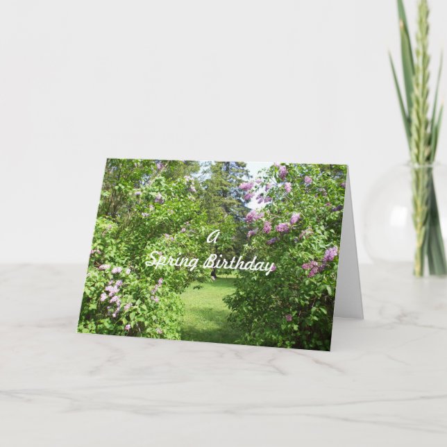 A Spring Birthday-lilac bushes Card (Front)