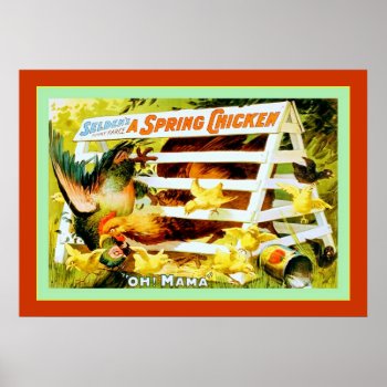 A Spring Chicken Poster by VintageFactory at Zazzle