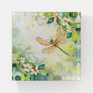 A Spring Dragonfly Paperweight