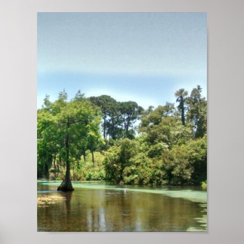 A Spring River in Weeki Wachee Florida Poster