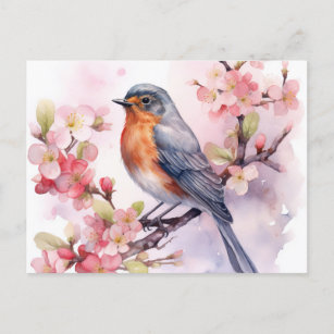 A Spring Robin Amongst the Cherry Blossoms. Postcard