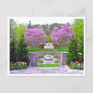 A SPRING TO REMEMBER/ BEAUTY IN THE GARDENS