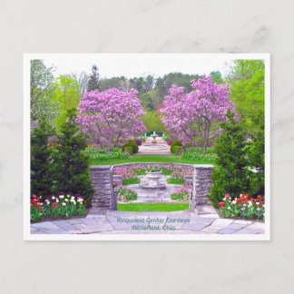 A SPRING TO REMEMBER/ BEAUTY IN THE GARDENS POSTCARD