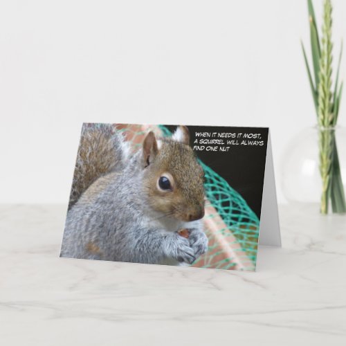 A Squiirel Fun Birthday Card