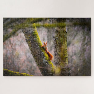 A squirrel jigsaw puzzle