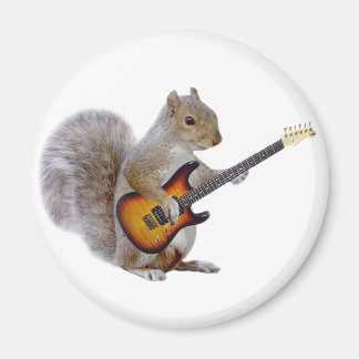 A Squirrel Playing Guitar Magnet