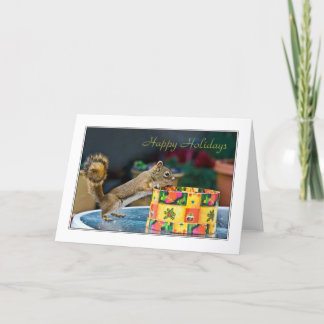 A squirrel's Christmas box Holiday Card