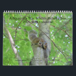 A Squirrel's Tale 2024 Wall Calendar<br><div class="desc">The original and still the best!  Twelve months of furball fun.</div>