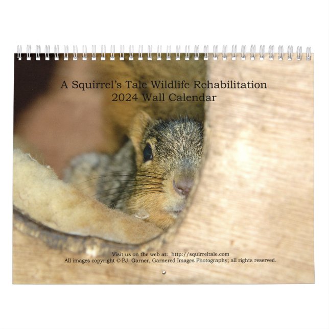 A Squirrel's Tale 2024 Wall Calendar (Cover)