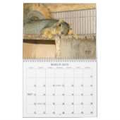 A Squirrel's Tale 2024 Wall Calendar (Mar 2025)
