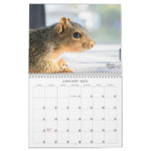 A Squirrel's Tale 2024 Wall Calendar (Jan 2025)