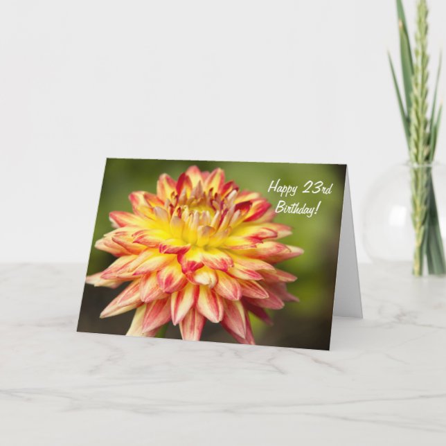 A Stand Out Dahlia Happy 23rd Birthday Card (Front)