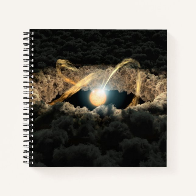A Star Surrounded By A Protoplanetary Disk Notebook (Front)