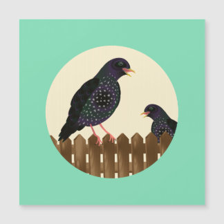 A starling a common garden bird sat on a fence