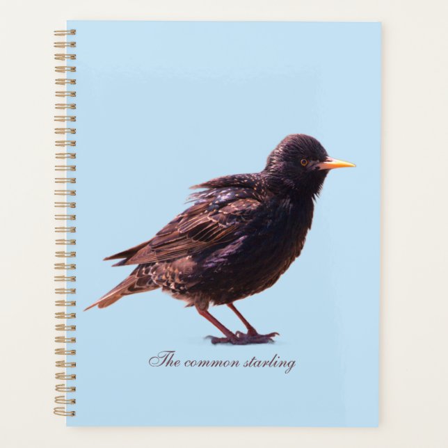 A starling  planner (Front)