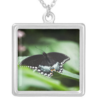 A Stately Appearance Necklace