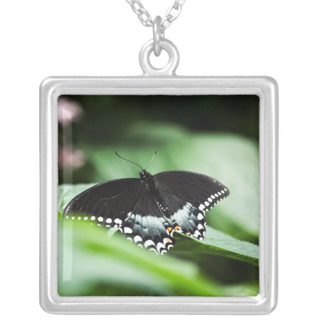 A Stately Appearance Necklace (Front)