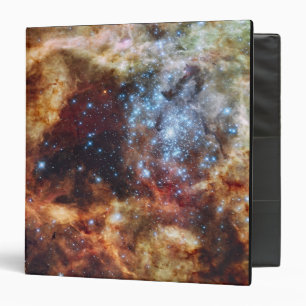 A stellar nursery known as R136 Binder