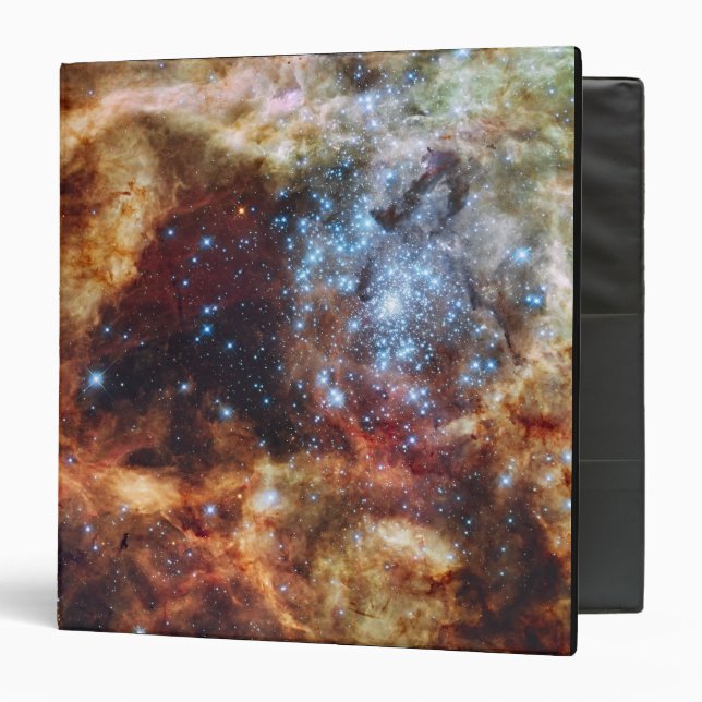 A stellar nursery known as R136 Binder (Front/Inside)