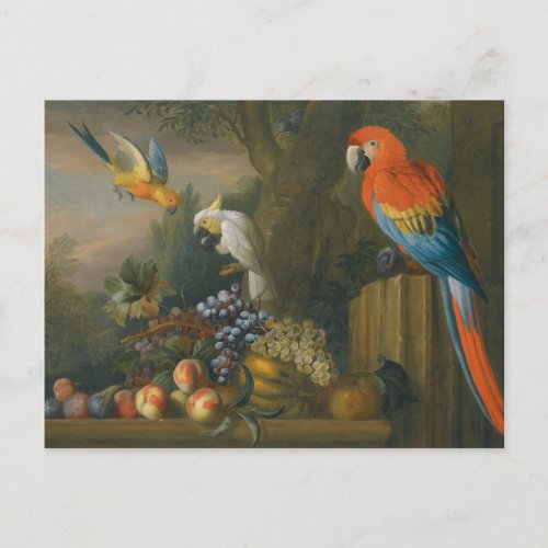 A Still Life With Fruit Parrots And a Cockatoo Postcard