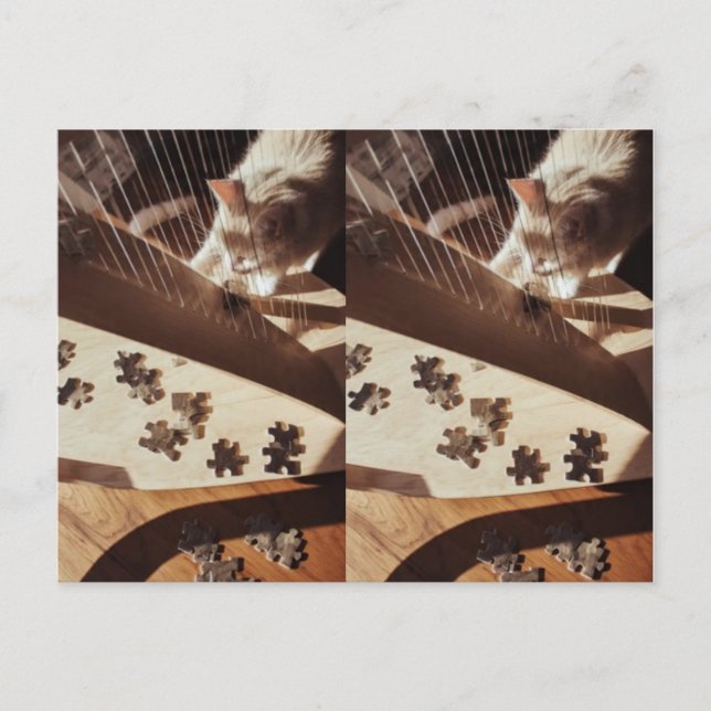 A Still Moment in Sunlight Postcard (Front)