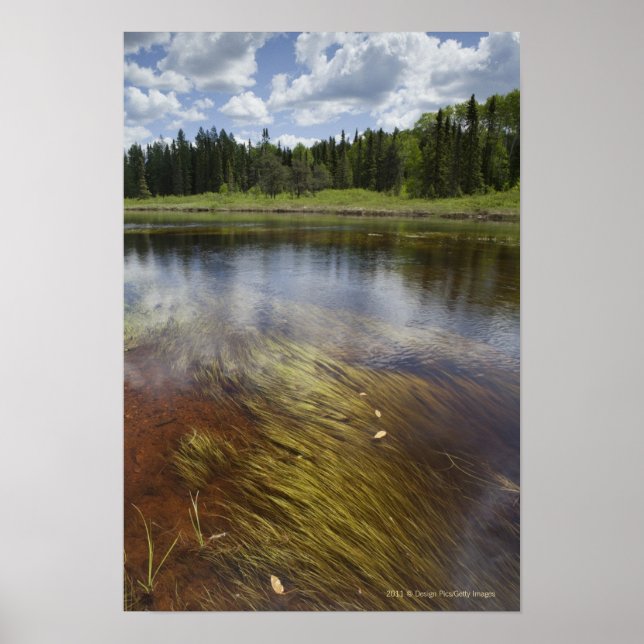 A Still Pond Reflecting The Clouds Poster (Front)