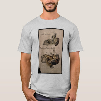 A Stomach full of Socialism T-Shirt