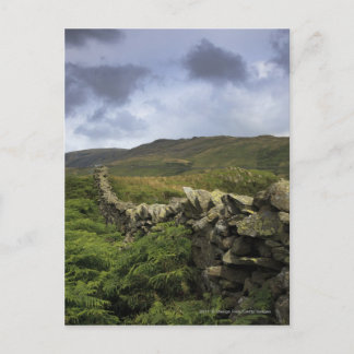 A Stone Fence Through Fields Postcard