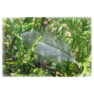 A stray feather metal print