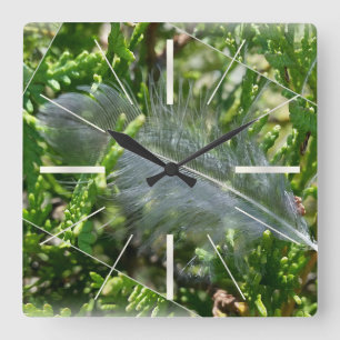 A stray feather square wall clock