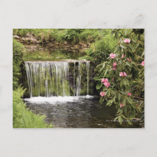 A Stream And Waterfall In Dartmoor National Park Postcard