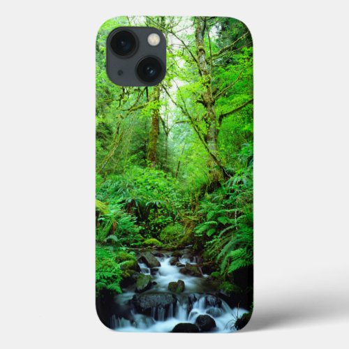 A stream in an old_growth forest iPhone 13 case