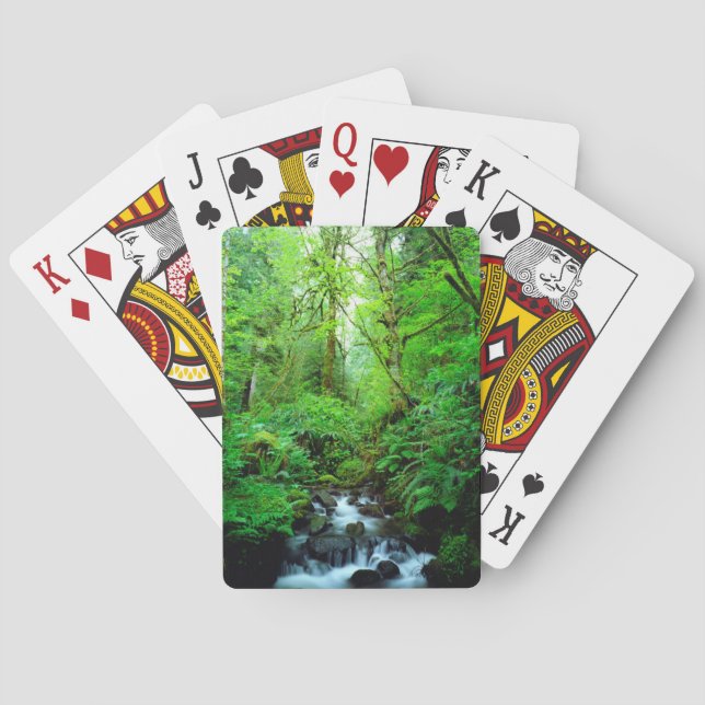 A stream in an old-growth forest poker cards (Back)