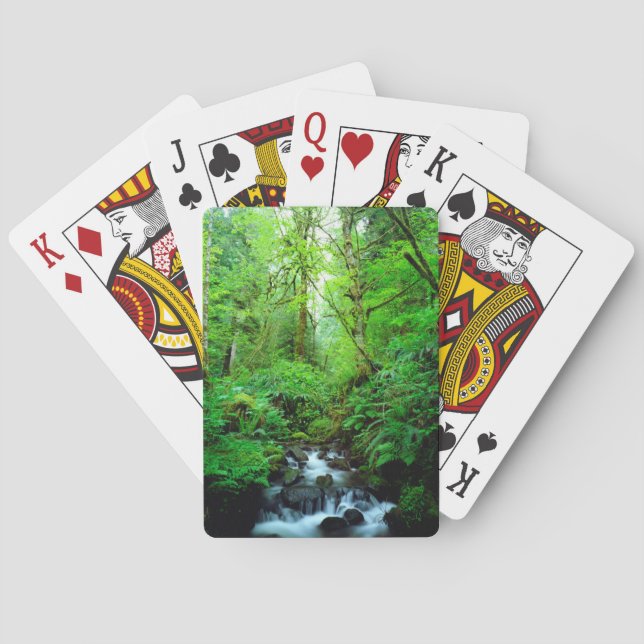A stream in an old-growth forest poker cards (Back)