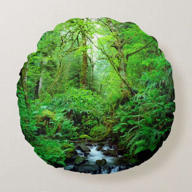 A stream in an old-growth forest round pillow (Front)
