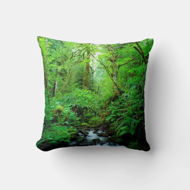 A stream in an old-growth forest throw pillow (Front)