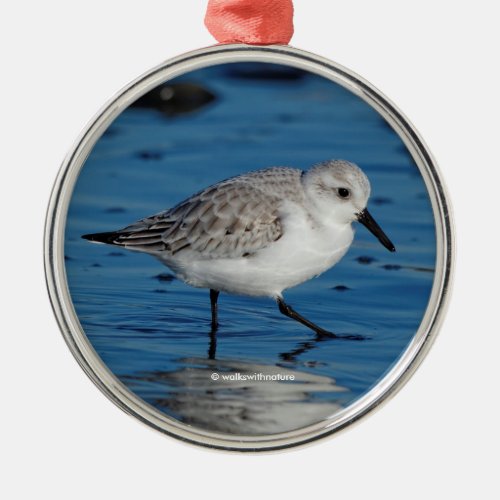 A Strolling Sanderling Sandpiper on the Beach Metal Ornament