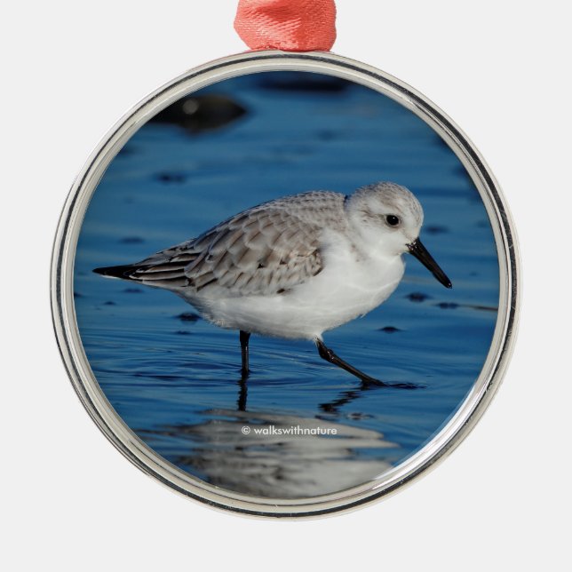 A Strolling Sanderling Sandpiper on the Beach Metal Ornament (Front)
