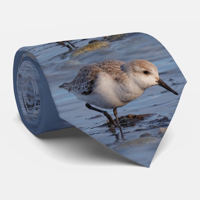 A Strolling Sanderling Tie (Rolled)