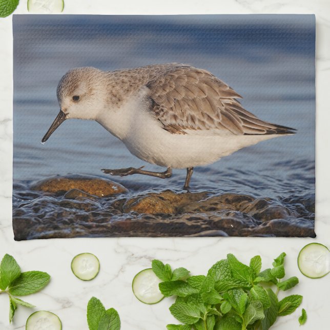 A Strolling Sanderling Towel (Folded)