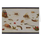 A Study of Insects (Front Horizontal)