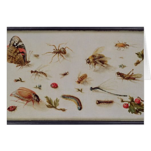 A Study of Insects (Front Horizontal)