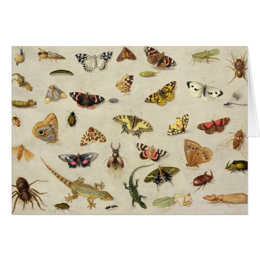 A Study of insects (Front Horizontal)