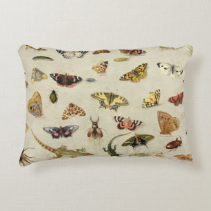 A Study of insects Accent Pillow