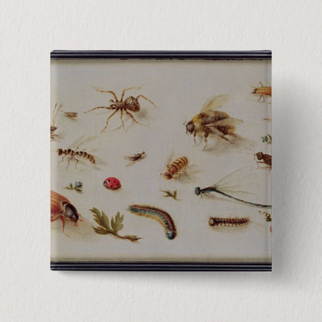 A Study of Insects Pinback Button (Front)