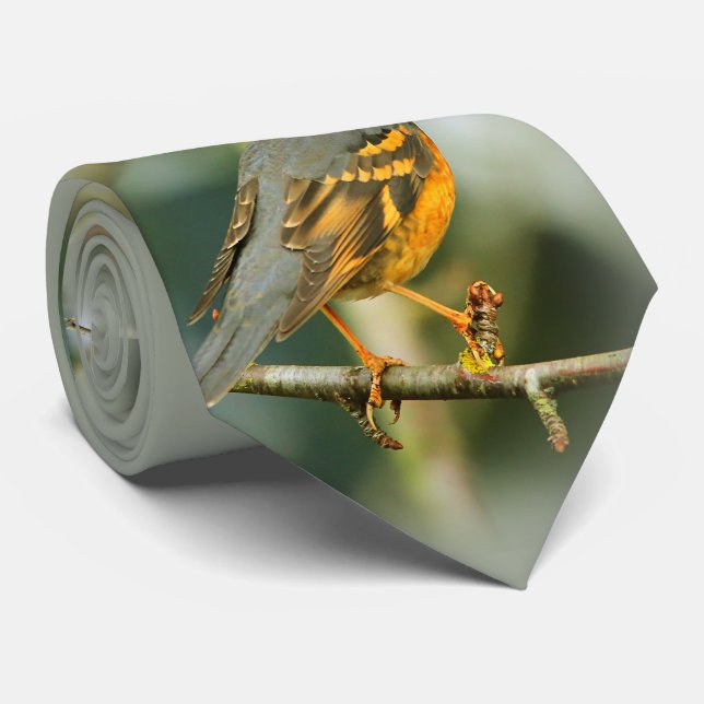 A Stunned But Safe Beautiful Varied Thrush Neck Tie (Rolled)