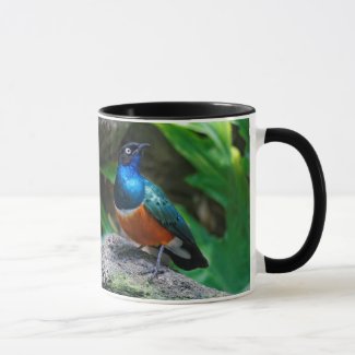 A Stunning African Superb Starling Songbird Mug