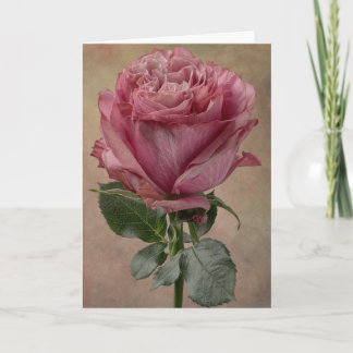 A stunning rose card
